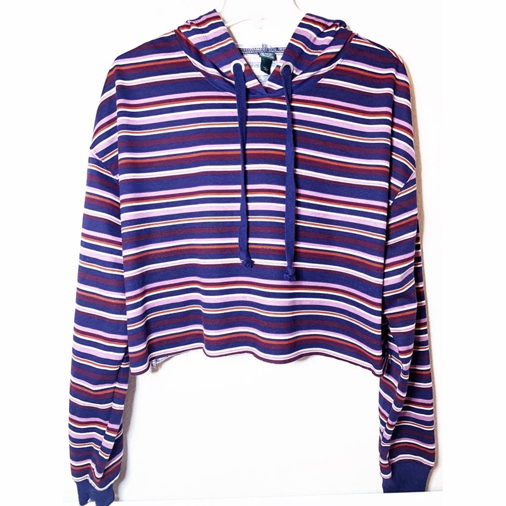 Wild Fable Multi-Colored Striped Cropped Hoodie